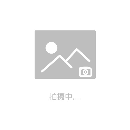 電子電子地磅，微貿SCS營口電子汽車衡，營口電子地磅儀器儀表加工