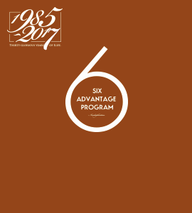 六『大』優勢，不可復制的事業平臺